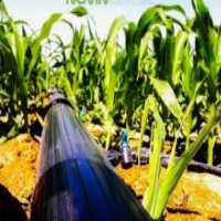 آگهی مشابه فروش لوله های آبیاری در گروه خرید فروش اتصالات و تجهیزات آبیاری - شیر لوله نوار در یکمیوه