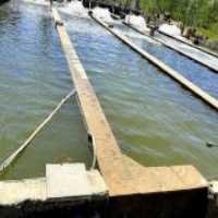 آگهی مشابه فروش قزل آلا پرواری در گروه ماهی قزل آلا - سالمون خال قرمز خرید و فروش دریا پرورشی در یکمیوه