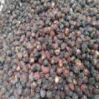 آگهی مشابه فروش  گیلاس خشک در گروه میوه های خشک - پرتقال سیب حبه ورق صنعتی خانگی در یکمیوه