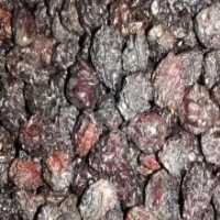 آگهی مشابه فروش گیلاس خشک در گروه میوه های خشک - پرتقال سیب حبه ورق صنعتی خانگی در یکمیوه