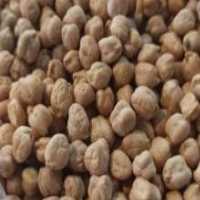 آگهی مشابه فروش نخود بهاره در گروه خرید فروش عمده نخود - فرنگی خام سبز فروش عمده در یکمیوه