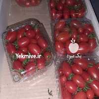 آگهی مشابه فروش عمده سیب زمینی  ،  گوجه در گروه خرید فروش عمده سیب زمینی - زودرس دیررس آگریا اسپریت اردبیل همدان در یکمیوه