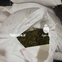 آگهی مشابه فروش دندانه پسته کرمان در گروه انواع خشکبار - فروش مغز دانه فروش عمده در یکمیوه