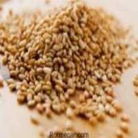 آگهی مشابه فروش کنجد و دانه های روغنی در گروه خرید فروش عمده دانه های روغنی - کلزا خردل آفتابگردان بادام کنجد سویا در یکمیوه