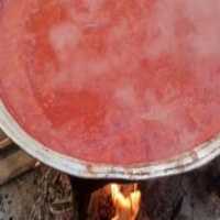 آگهی مشابه فروش رب گوجه ارگانیک در گروه انواع رب - گوجه انار نارنج خانگی سیب عمده در یکمیوه