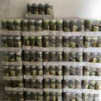 آگهی مشابه فروش کنسرو زیتون شور درشت در گروه انواع محصولات کنسروی - فروش عمده فرآوری کشاورزی در یکمیوه