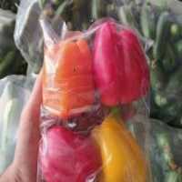 آگهی مشابه فروش فلفل دلمه ای رنگی در گروه خرید فروش عمده فلفل - دلمه سبز رنگی پاریریکا هالوپینو کاین در یکمیوه