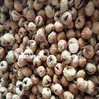 آگهی مشابه فروش انجیر خشک درجه یک در گروه انجیر - خشک فرآوری شده آردی در یکمیوه