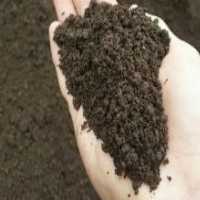 آگهی مشابه خدمات کود دهی و باغبانی در گروه سایر خدمات - حوزه محصولات کشاورزی و دامپروری در یکمیوه