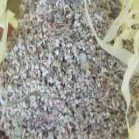 آگهی مشابه فروش گل آویشن شیرازی در گروه خرید فروش عمده انواع گل - پروش قاشقی موسی ساکولنت بن سای در یکمیوه