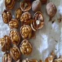 آگهی مشابه فروش گردو و عسل و زعفران و زرشک و روغن حیوانی در گروه عسل و فرآورده ی مربا - طبیعی گون کوهی آویشن در یکمیوه