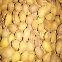 آگهی مشابه فروش بادام تلخ کوهی در کرمان در گروه بادام - درختی کوهی زمینی فروش عمده در یکمیوه