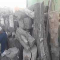 آگهی مشابه فروش الوار چوب گردو و چنار در اصفهان در گروه خرید فروش عمده چوب- زغال چوب گردو تبریزی خام در یکمیوه