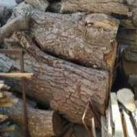 آگهی مشابه فروش چوب گردو چنار در مشهد در گروه خرید فروش عمده چوب- زغال چوب گردو تبریزی خام در یکمیوه