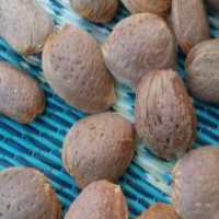 آگهی مشابه فروش بادام سنگی دیمی با طعم خاص و طبیعی در سلماس در گروه بادام - درختی کوهی زمینی فروش عمده در یکمیوه