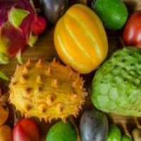 آگهی مشابه فروش انواع میوه های استوایی و میوه های کمیاب در تهران در گروه خرید فروش عمده میوه استوایی - پاپایا قرمز منگوستین گواوا بلوبری در یکمیوه