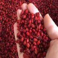 آگهی مشابه فروش انواع گیاهان دارویی و روغنی جات طبیعی در شهریار در گروه خرید فروش عمده گیاهان دارویی - معطر خشک خواص دار در یکمیوه