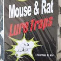 آگهی مشابه فروش انواع چسب موش و تله موش در گروه حیوانات خانگی - خرید و فروش در یکمیوه