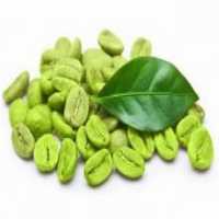 آگهی مشابه فروش بورس چای  ،  قهوه و نسکافه در گروه خرید فروش عمده چای - سبز ترش کوهی سیاه در یکمیوه