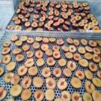 آگهی مشابه فروش خشک میوه و سبزیجات در ابهر در گروه میوه های خشک - پرتقال سیب حبه ورق صنعتی خانگی در یکمیوه