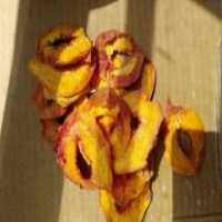 آگهی مشابه فروش میوه خشک  در مراغه در گروه میوه های خشک - پرتقال سیب حبه ورق صنعتی خانگی در یکمیوه