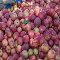 آگهی مشابه فروش میوه فصل و خشکبار در طالقان در گروه میوه های خشک - پرتقال سیب حبه ورق صنعتی خانگی در یکمیوه