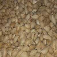 آگهی مشابه فروش بادام در کیان در گروه محصولات ترشی - گل کلم مخلوط لیته هفت بیجار در یکمیوه