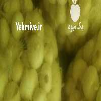 آگهی مشابه فروش پیازدرجه یک قرمزوسفید در اهواز در گروه خرید فروش عمده پیاز - قرمز سفید زرد ترشی تازه انباری در یکمیوه