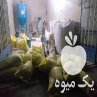 آگهی مشابه فروش انواع دان در تبریز در گروه خوراک دام و طیور - پرواری شیری علوفه یونجه در یکمیوه