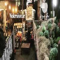 آگهی مشابه خریدار و حق العمل کاري در کرج در گروه حق العمل کاری محصولات کشاورزی و دامداری خدمات کارمزد در یکمیوه