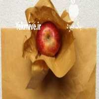 آگهی مشابه فروش كاغذ و پوشال در تهران در گروه سایر بسته بندی محصول در یکمیوه