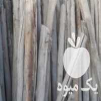 آگهی مشابه فروش چوب سپیدار در اصفهان در گروه خرید فروش عمده چوب- زغال چوب گردو تبریزی خام در یکمیوه