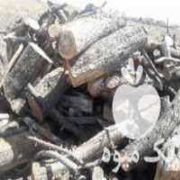 آگهی مشابه خرید چوب زغال در اصفهان در گروه خرید فروش عمده چوب- زغال چوب گردو تبریزی خام در یکمیوه