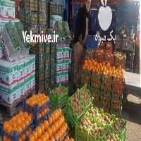 آگهی مشابه فروش حجره در میدان تره بار در تهران در گروه حجره در میدان تره بار - میادین میوه و تره بار مرکزی شهری استان در یکمیوه