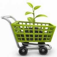 آگهی مشابه فروش نهال میوه  در تهران در گروه خرید فروش نهال - انواع گردو پسته بادام سلطانی انگور در یکمیوه