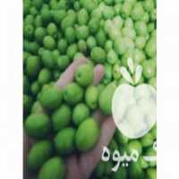 آگهی مشابه فروش زیتون تازه و اعلا در تکاب در گروه خرید فروش عمده زیتون - سبز سیاه بندری پاکستانی طارم در یکمیوه