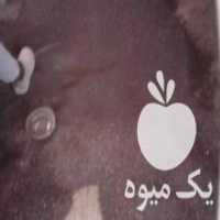 آگهی مشابه فروش کود گرانول در یاسوج در گروه خرید فروش کود و مواد شیمیایی - اوره پتاس مرغی کمپوست آهن در یکمیوه