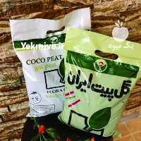 آگهی مشابه تولید و پخش خاک گلدان گل پیت ایران در کرج در گروه سایر محصولات خاک و تغذیه و نهال در یکمیوه