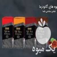 آگهی مشابه فروش پودر قارچ گانودرما در اندیشه در گروه خرید فروش عمده قارچ - دکمه ای خوراکی دارویی پرورشی کوهی در یکمیوه