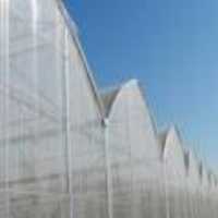 آگهی مشابه ساخت گلخانه در تهران در گروه خرید فروش عمده سایر محصولات گلخانه ای در یکمیوه