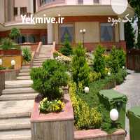 آگهی مشابه فروش خاک باغچه _ خاک رس _ خاک ترکیبی در تهران در گروه سایر محصولات خاک و تغذیه و نهال در یکمیوه