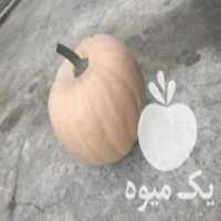 آگهی مشابه فروش کدو ی شیرین در ساری در گروه خرید فروش عمده کدو - سبز خورشتی بندر ورامین کرج سفید در یکمیوه
