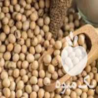 آگهی مشابه فروش سویا در تهران در گروه خرید فروش عمده سویا - خوراکی تیم اسپانیول روغن در یکمیوه