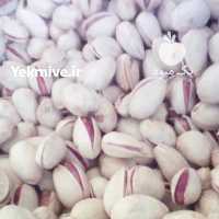 آگهی مشابه فروش پسته خشک در یزد در گروه پسته - کوهی شامی خام اکبری تازه کله قوچی در یکمیوه