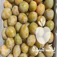 آگهی مشابه فروش آلو بخارا تازه در سی سخت در گروه خرید فروش عمده آلو - آلوچه گوجه سبز زرد خاکی شابلون سانتریزه سیاه در یکمیوه