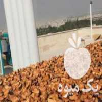 آگهی مشابه فروش الو خشک شده در تهران در گروه خرید فروش عمده آلو - آلوچه گوجه سبز زرد خاکی شابلون سانتریزه سیاه در یکمیوه