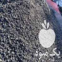 آگهی مشابه فروش زغال کبابی در شهریار در گروه خرید فروش عمده چوب- زغال چوب گردو تبریزی خام در یکمیوه