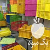 فروش سبد کشتارگاهی در دولت آباد در گروه خرید و فروش انواع سبد در یکمیوه