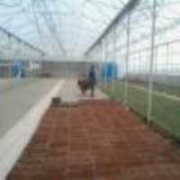 آگهی مشابه فروش و ساخت گلخانه در تهران در گروه خرید فروش تجهیزات گلخانه - صنعتی خانگی هوشمند دست دوم در یکمیوه