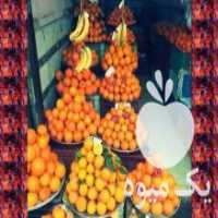 آگهی مشابه فروش عمده پرتقال تامسون در قائم شهر در گروه خرید فروش عمده نارنگی - ژاپنی بندر فروش عمده محصولات در یکمیوه